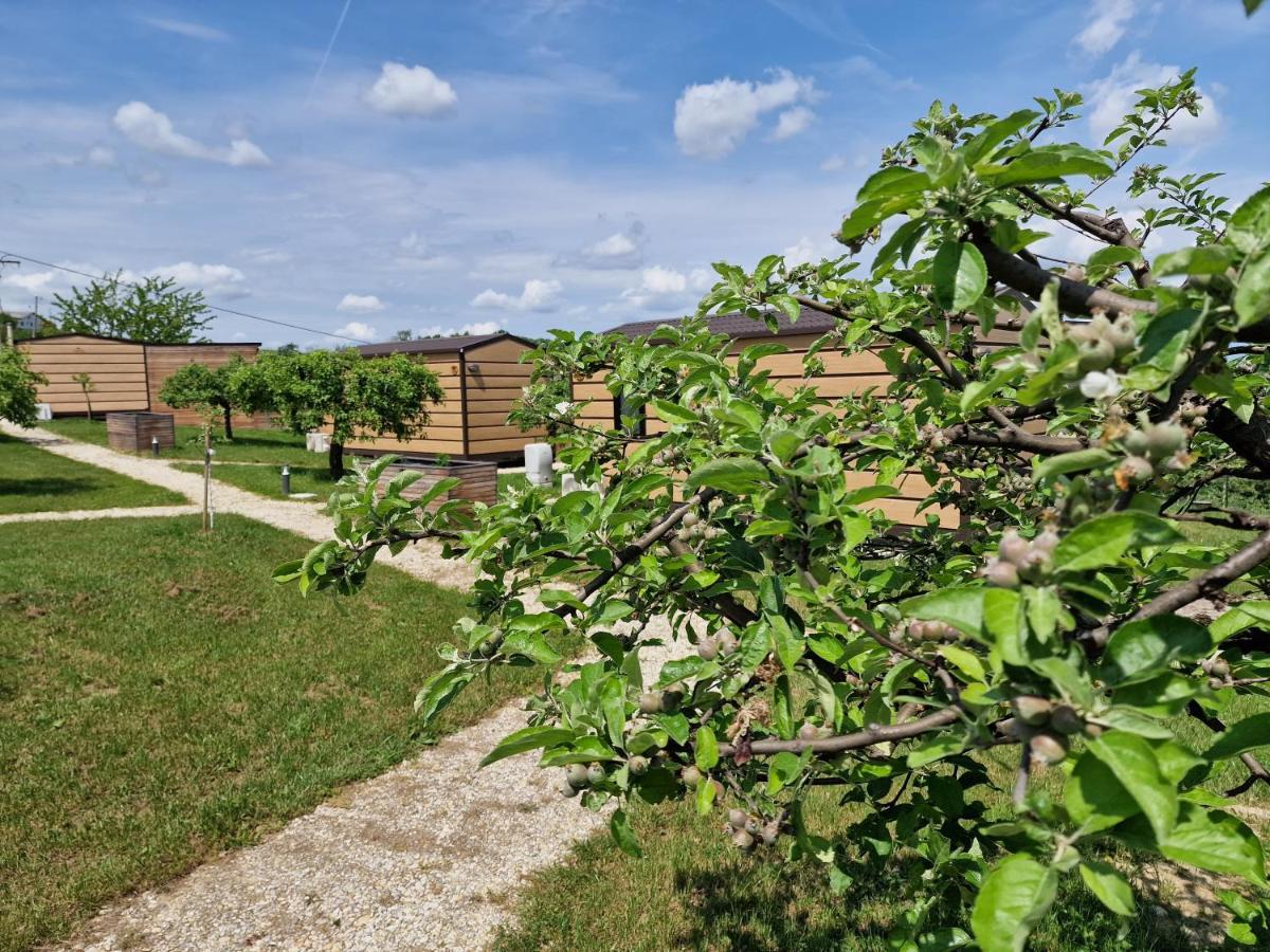 הוילה רדנצי Vinea Panonika Wine & Mind Retreat מראה חיצוני תמונה