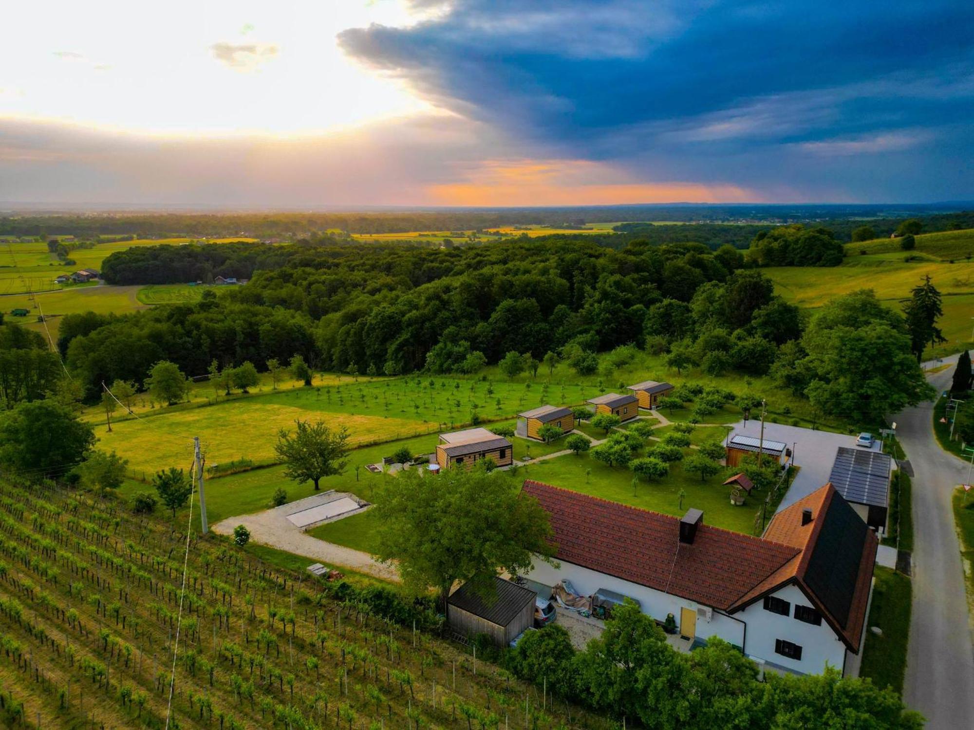 הוילה רדנצי Vinea Panonika Wine & Mind Retreat מראה חיצוני תמונה